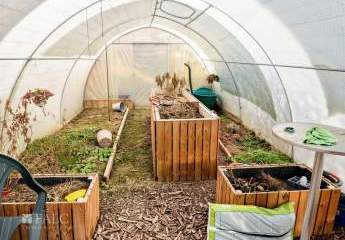 479603-Vorschaubild4