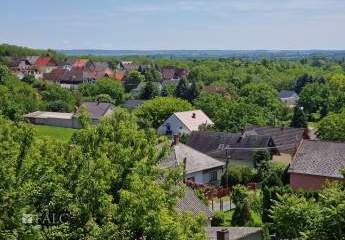 479605-Vorschaubild2