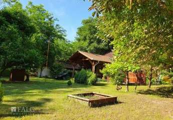 479607-Vorschaubild2