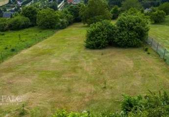 479708-Vorschaubild4