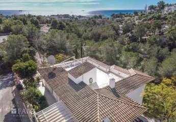 479894-Vorschaubild2