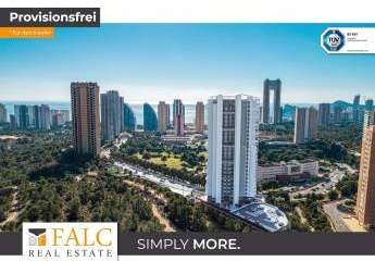 479933-Vorschaubild2