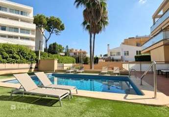 479599-Vorschaubild3