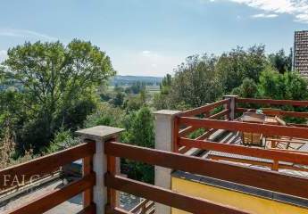 479957-Vorschaubild4