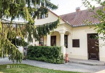 481051-Vorschaubild2