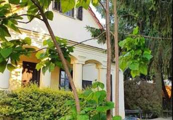 481051-Vorschaubild3