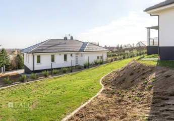 481293-Vorschaubild2