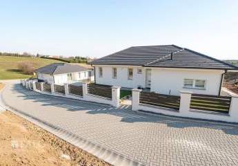 481293-Vorschaubild3