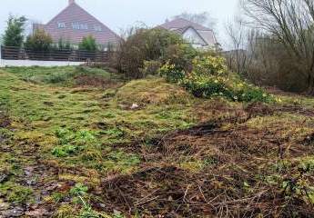 481295-Vorschaubild3