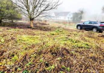 481295-Vorschaubild4