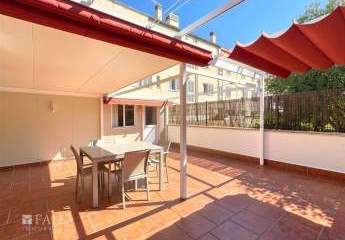 481409-Vorschaubild3