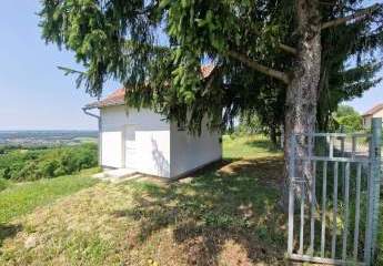 481419-Vorschaubild2