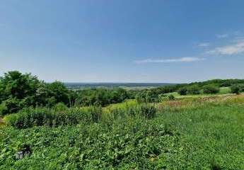 481419-Vorschaubild4