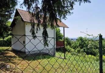 481419-Vorschaubild3