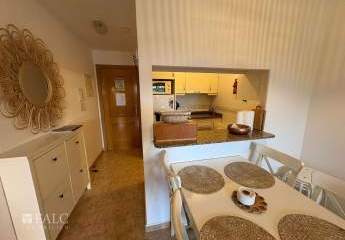 481450-Vorschaubild3