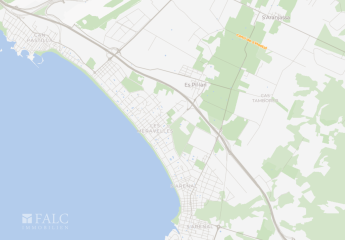 481561-Vorschaubild2