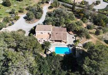 481569-Vorschaubild2