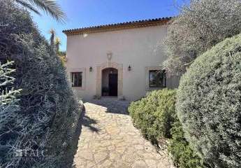 481569-Vorschaubild3