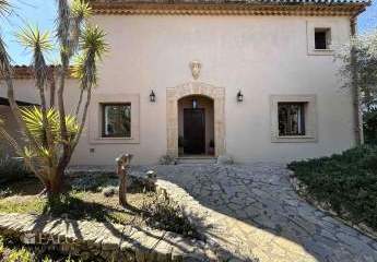 481569-Vorschaubild4