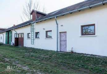 481668-Vorschaubild3