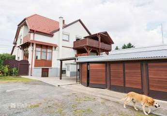 481669-Vorschaubild3