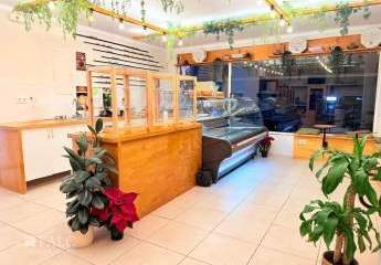 481837-Vorschaubild2