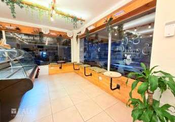 481837-Vorschaubild3