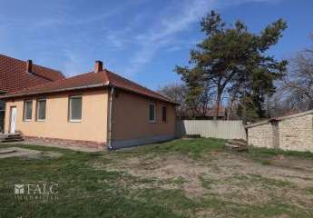 481966-Vorschaubild2