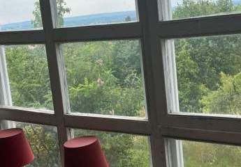 482135-Vorschaubild3