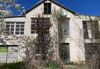 482135-Vorschaubild4