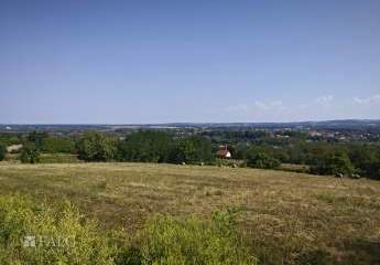 482136-Vorschaubild2