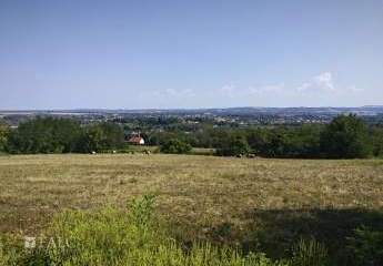 482136-Vorschaubild3