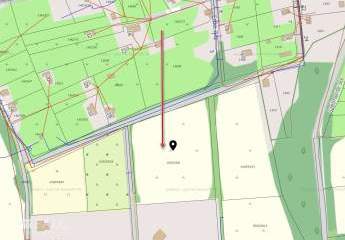 482136-Vorschaubild4