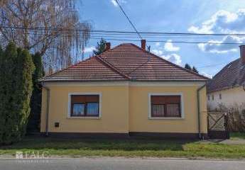 482301-Vorschaubild2