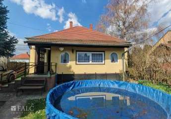 482301-Vorschaubild3