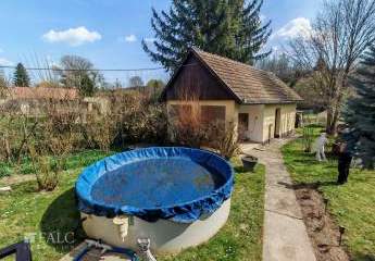 482301-Vorschaubild4