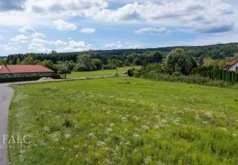 482702-Vorschaubild4