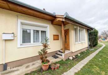 482868-Vorschaubild2