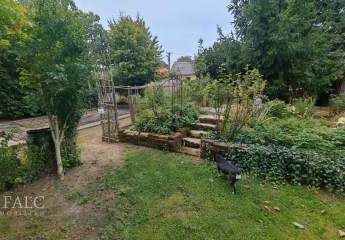 482877-Vorschaubild3