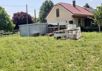 482878-Vorschaubild3