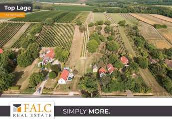 Komplett renoviertes Weinberg-Landhaus Nähe Balaton