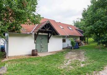 482900-Vorschaubild2