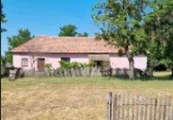 482901-Vorschaubild2