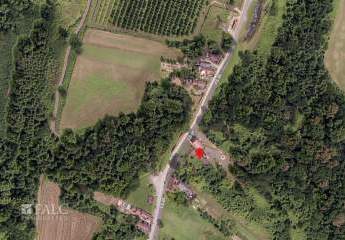 482903-Vorschaubild2