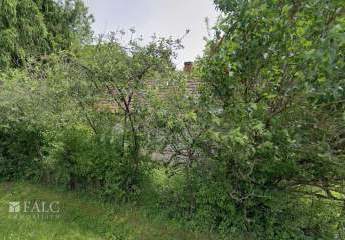 482903-Vorschaubild3