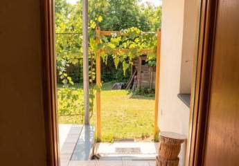 482904-Vorschaubild3