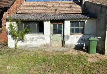 482983-Vorschaubild3