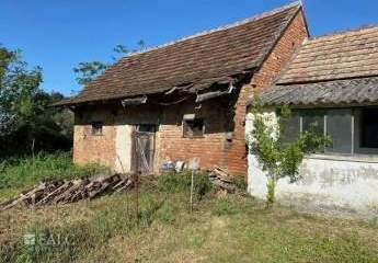 482983-Vorschaubild4