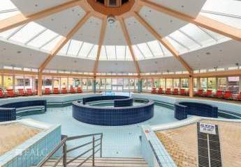 482984-Vorschaubild2