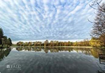 482984-Vorschaubild4